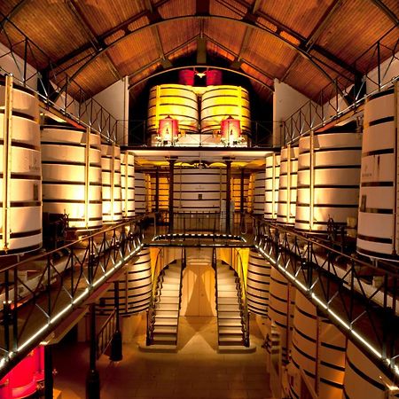 Le Mimosa #Netflix #Centre-Ville Cognac Eksteriør billede